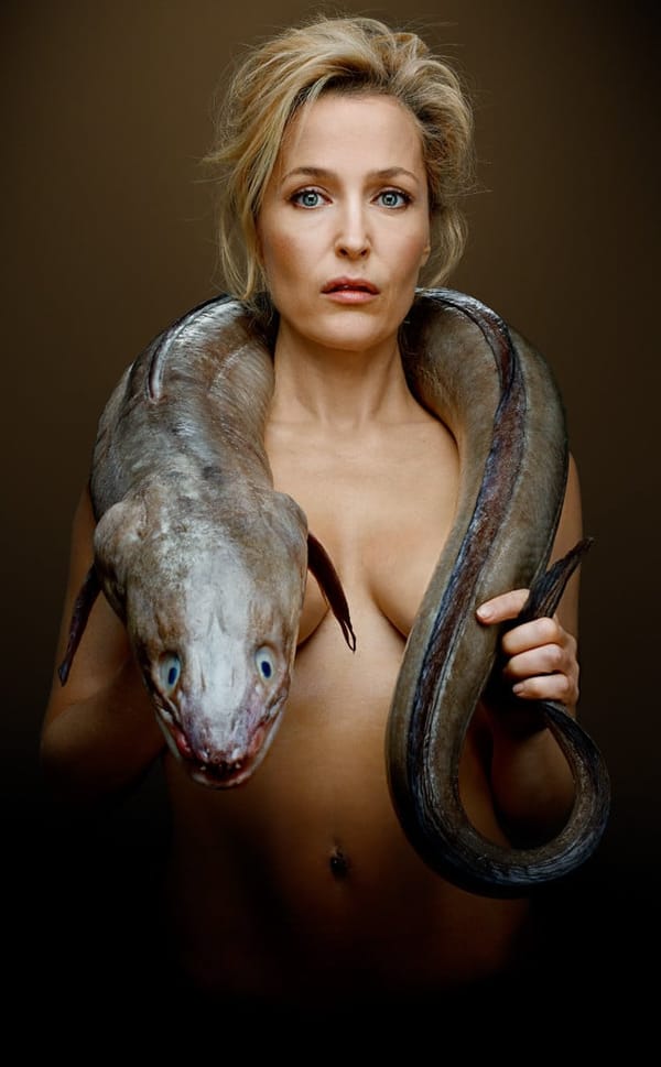 Gillian Anderson Tits & Nipples Exposed Photos photo 10