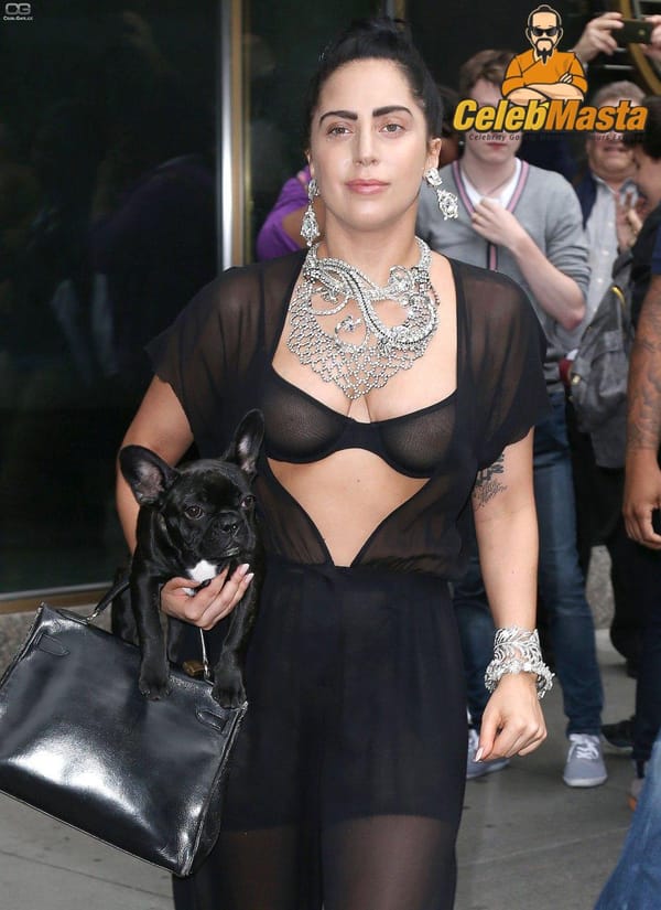 Hot Lady Gaga Pussy & Tits Photos Surfaced photo 7