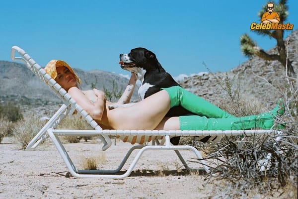 Miley Cyrus Undressed on Beach Chair Photos photo 3