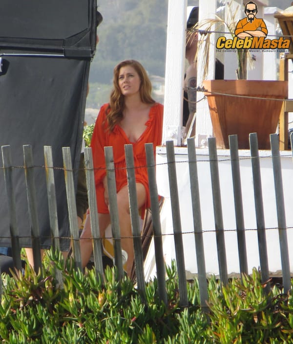 Amy Adams Paparazzi Nipples & Ass Pics photo 41