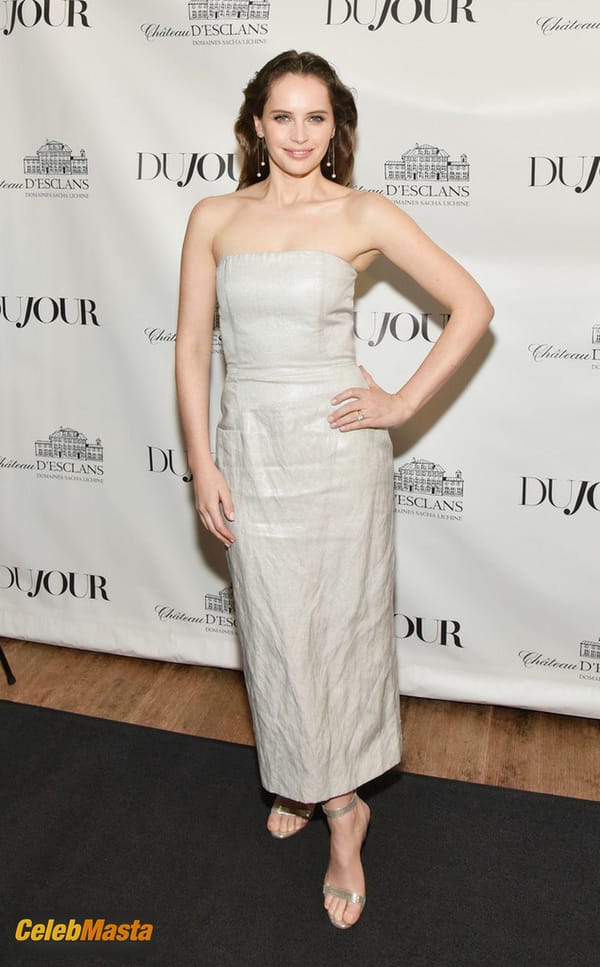 Felicity Jones at the DuJour Winter Issue Celebration in New York City photo 19