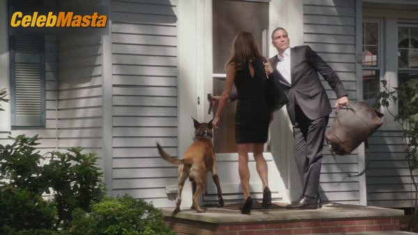 Photo Gallery: Paige Turco in Person Of Interest photo 27