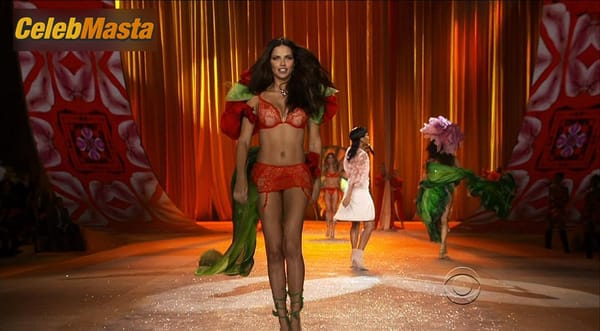 Adriana Lima Photo Collection from Victoria’s Secret The Tour ’23 photo 82