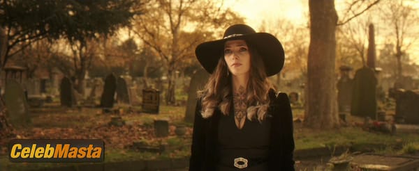 Ashley Greene Photos from Accident Man photo 1
