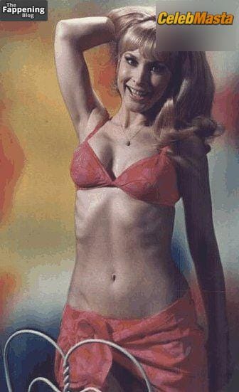 Photo Gallery: Barbara Eden Photos Collection photo 14