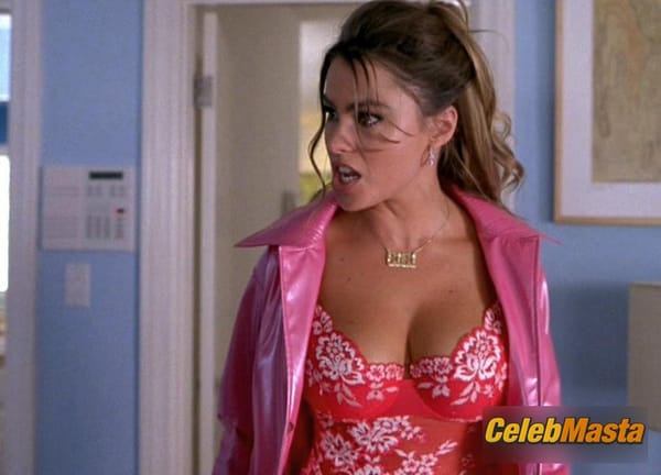 Photo Gallery: Sofia Vergara in Chasing Papi photo 19
