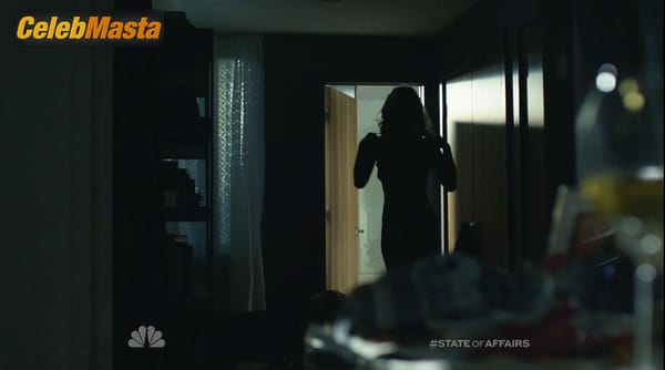 Photo Gallery: Katherine Heigl in State Of Affairs photo 3