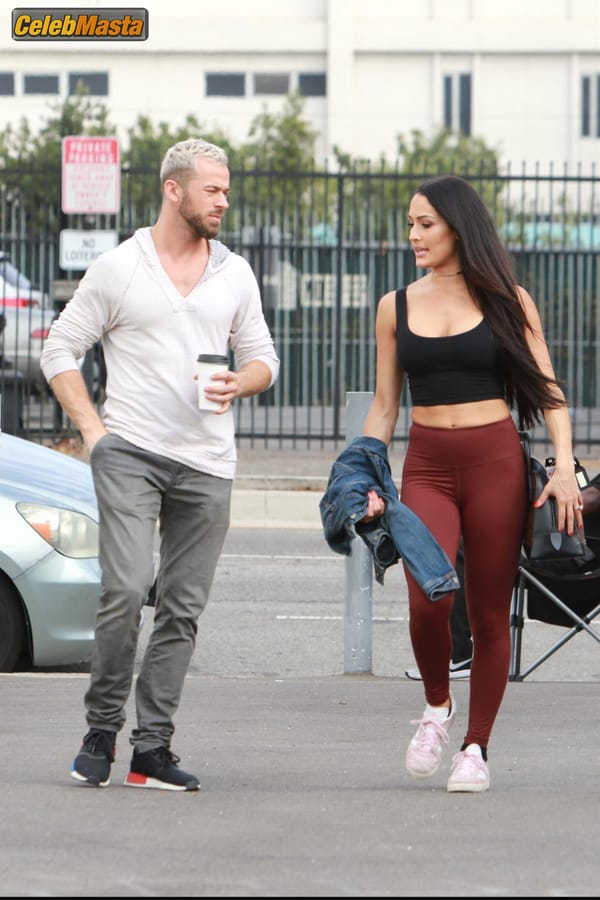 Nikki Bella Gallery: Nip Slip During A Live Episode Of Wwe Rew photo 36