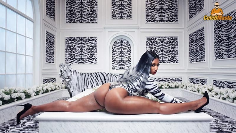 Megan Thee Stallion Photo Set photo 2