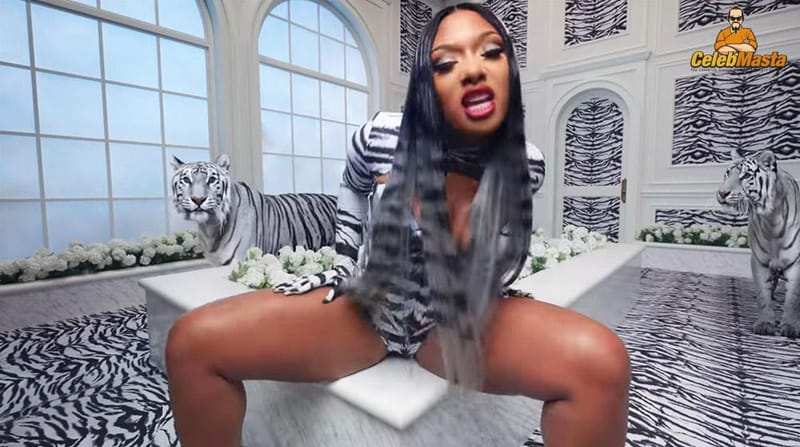 Megan Thee Stallion Photo Set photo 4