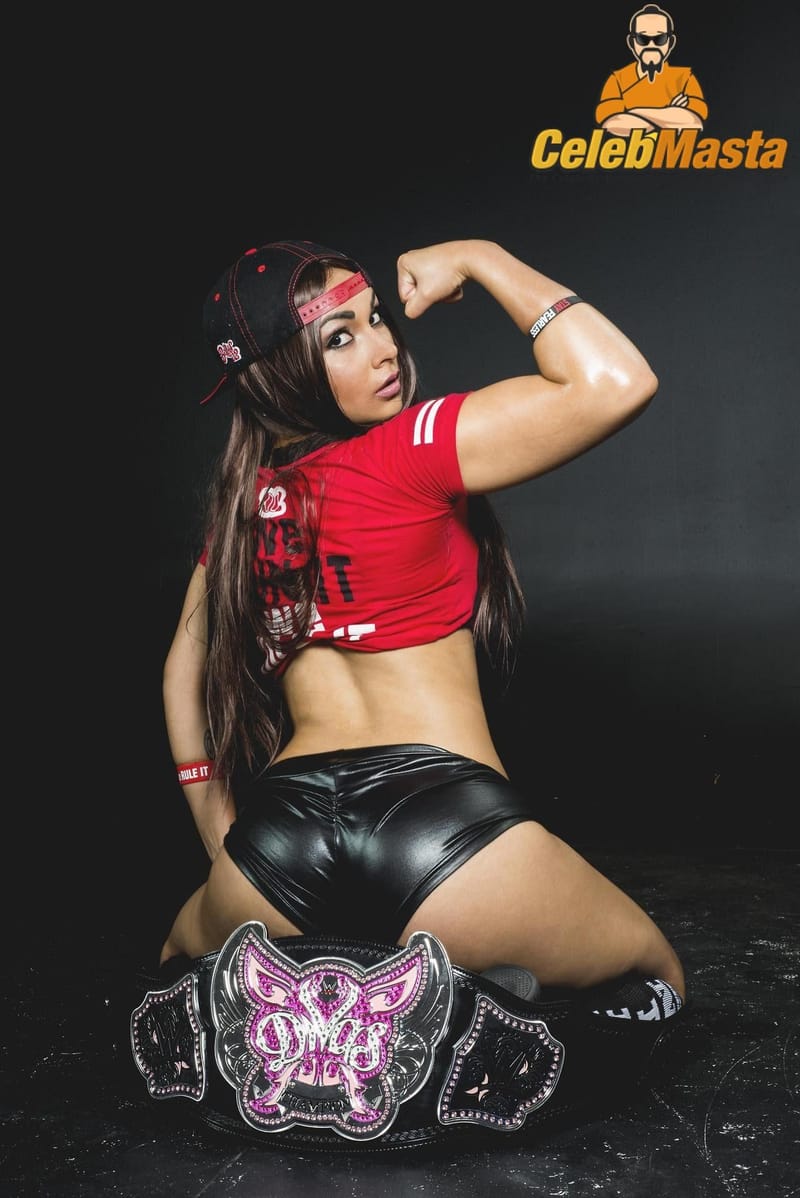 Nikki Bella Photo Collection photo 4