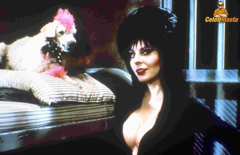Elvira Photo Set photo 4