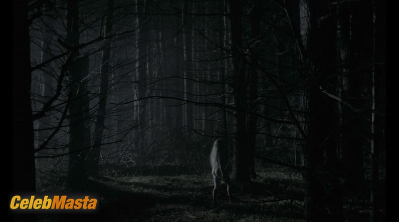 Anya Taylor-Joy Scene Photos Gallery from The Witch photo 3