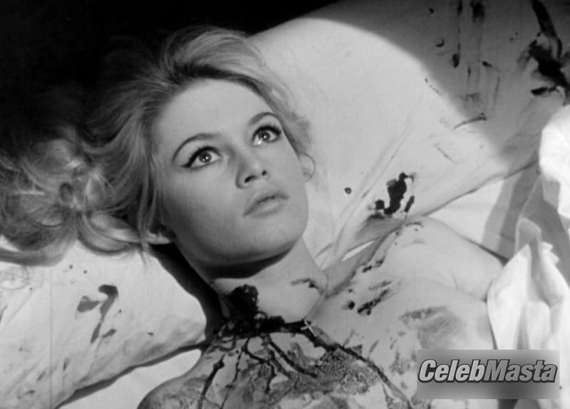 Brigitte Bardot Photos from En Cas De Malheur photo 4