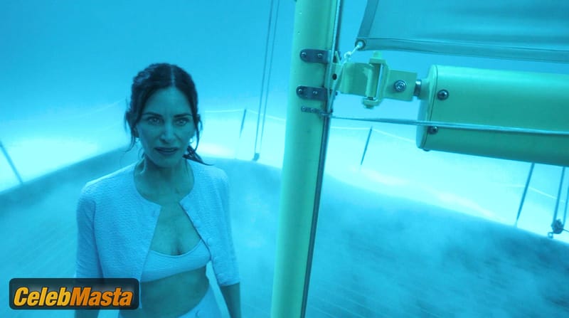 Photo Gallery: Courteney Cox in Shining Vale photo 2