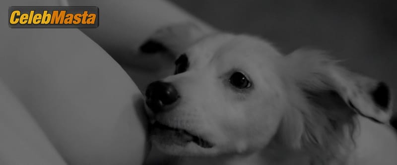Judy Greer in Into The Dark
