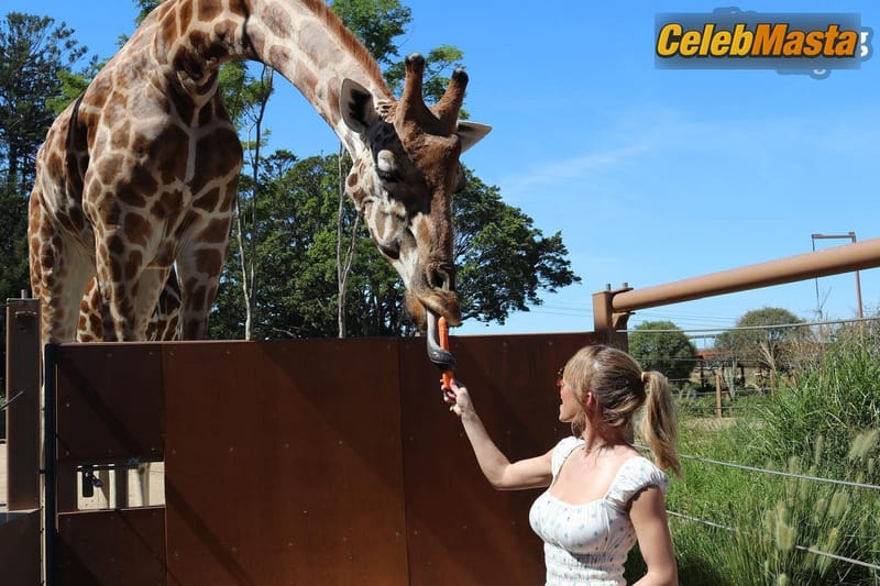 Sydney Sweeney Sexy Seen Examining Giraffes Long Tongue Photo Gallery photo 4