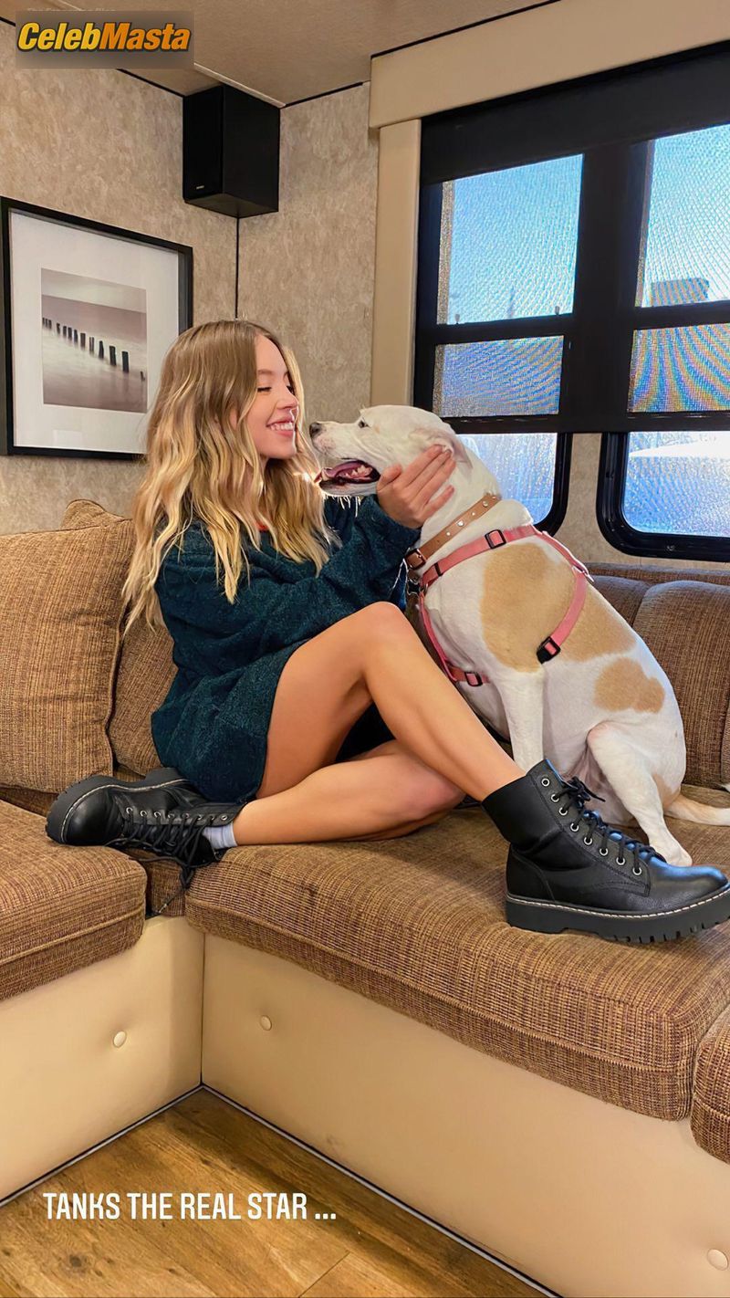 Sydney Sweeney Sexy Shows Off Stunning Ass Tits And Legs Photo Gallery photo 2