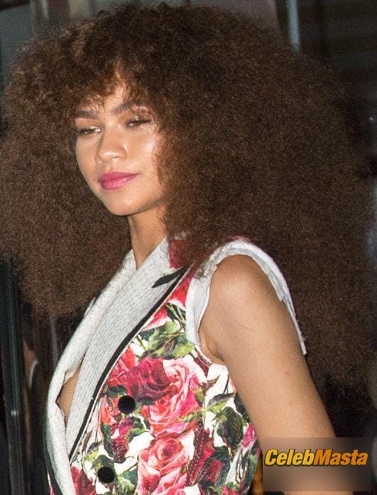 Zendaya Nip Slip After Going To the Met Gala Party in New York City Photo Gallery photo 2