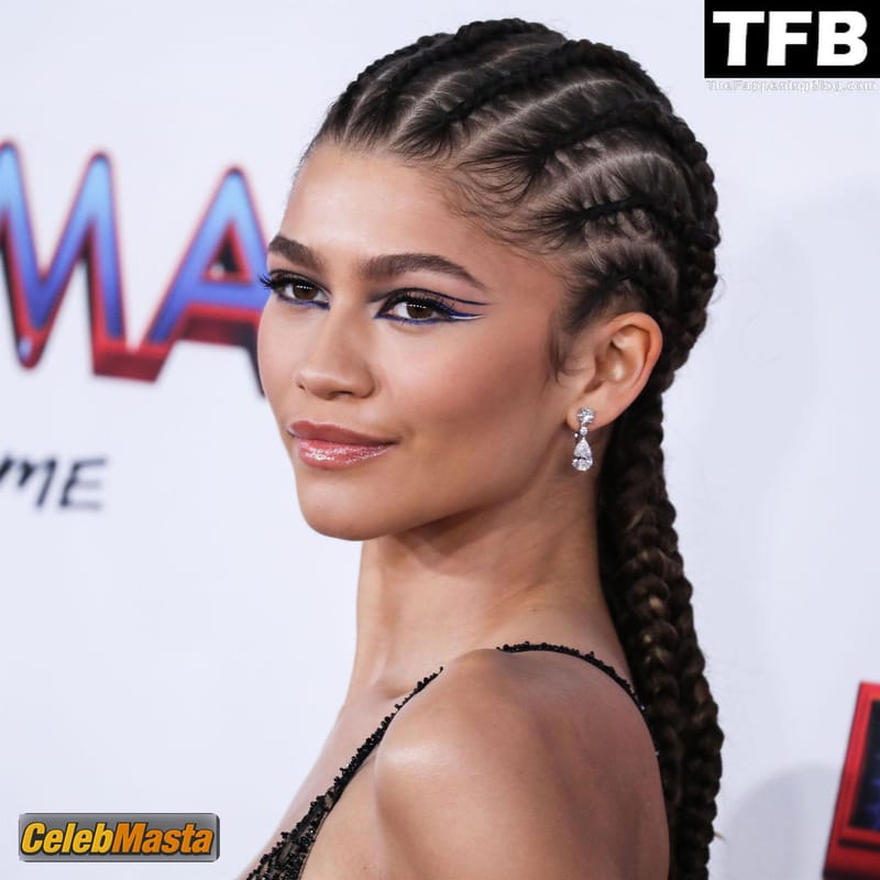 Zendaya Coleman Looks Hot at the LA Premiere of Columbia Pictures Spider-Man: No Way Home in Westwood Photo Gallery photo 4