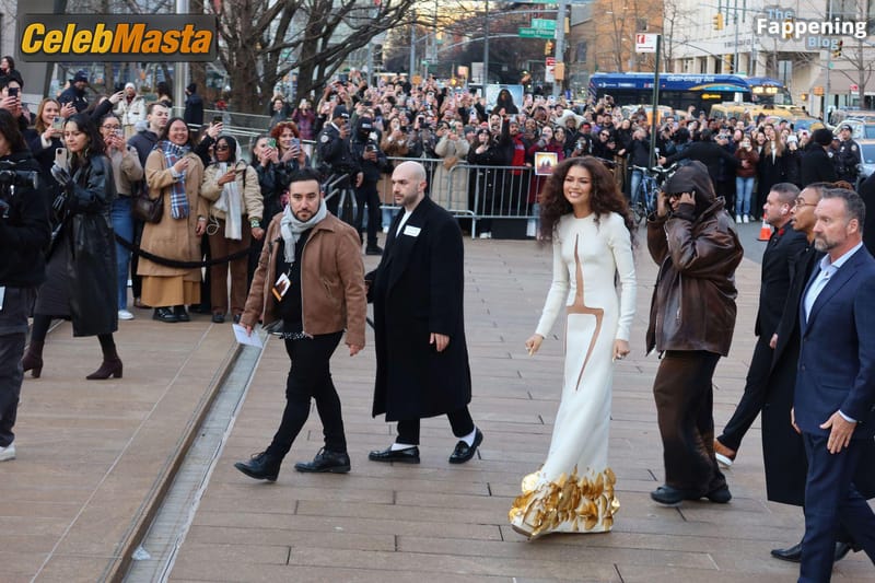 Zendaya Sexy Shows Off Her Peaked Nipples In A Stunning Dress At Dune: Part Two Premiere In New York City Photo Gallery photo 2