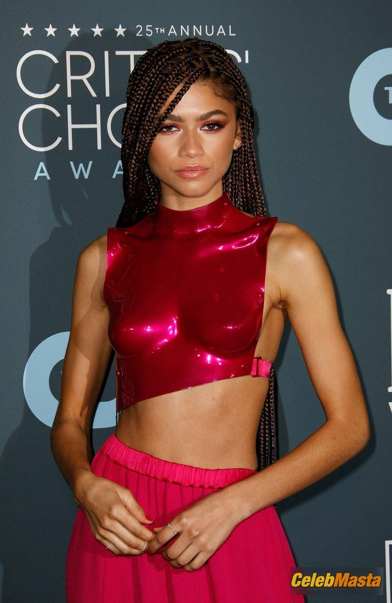 Zendaya shows off her plastic boob cast at the 25th Annual Critics’ Choice Awards at Barker Hangar in Santa Monica Photo Gallery photo 2
