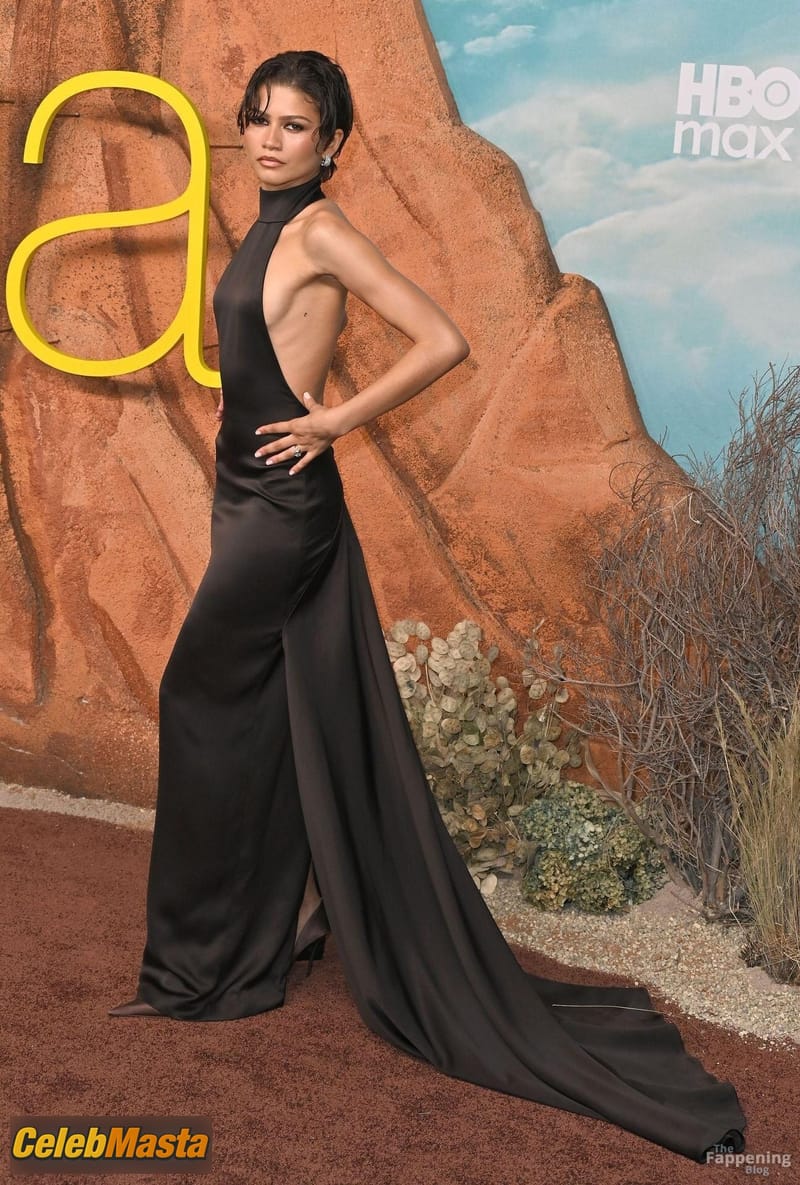 Zendaya Sexy Shows Off Her Hot Sideboobs At The “Euphoria” Season 3 Premiere In LA Photo Gallery photo 4