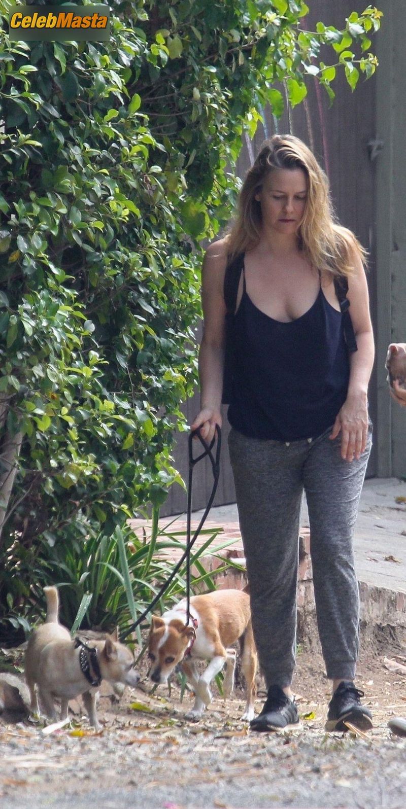 Alicia Silverstone goes for a walk around their neighborhood in Hollywood this afternoon Photo Gallery photo 1