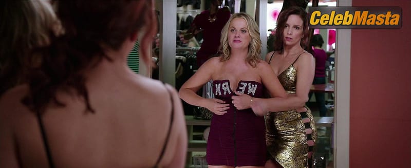 Amy Poehler Photo Collection from Sisters photo 3