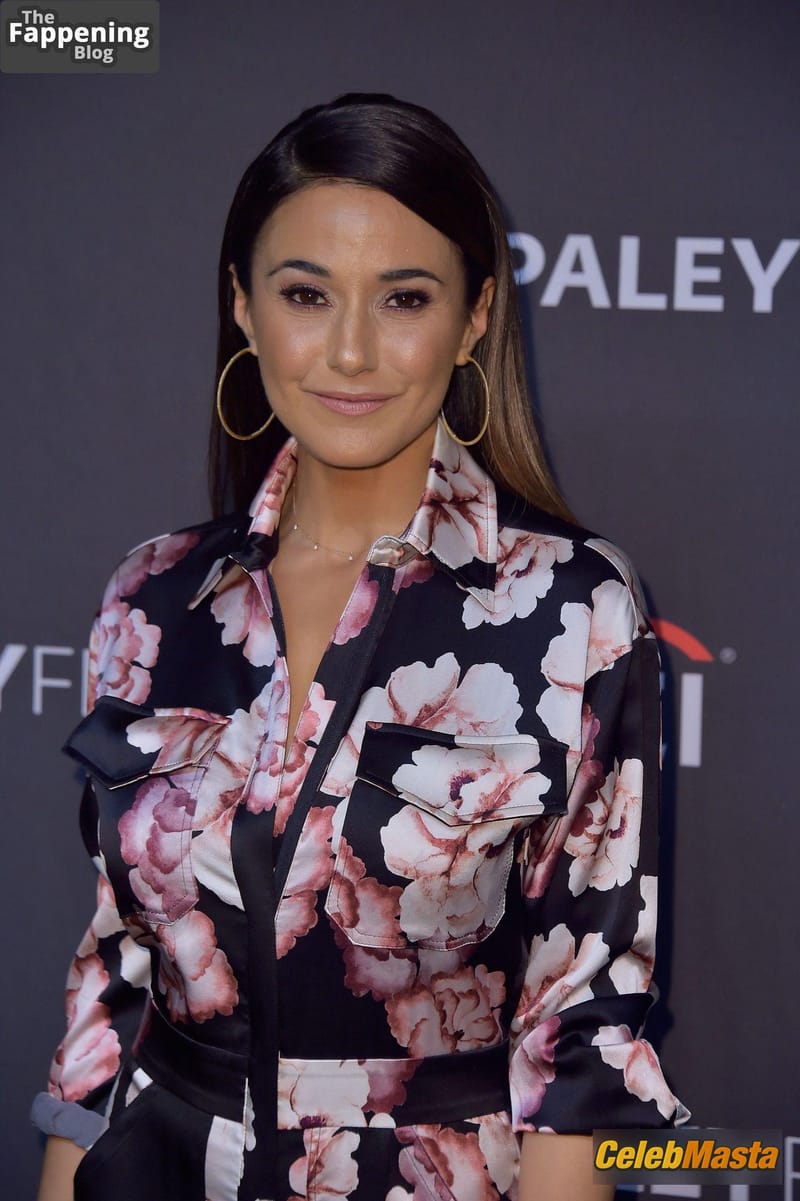 Emmanuelle Chriqui Sexy Photos Collection photo 2