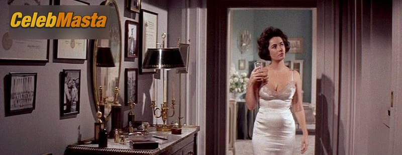 Elizabeth Taylor Photo Set from Butterfield 8 photo 3