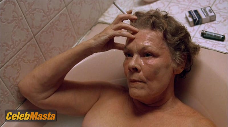 Judi Dench Photo Collection from Notes On A Scandal photo 2