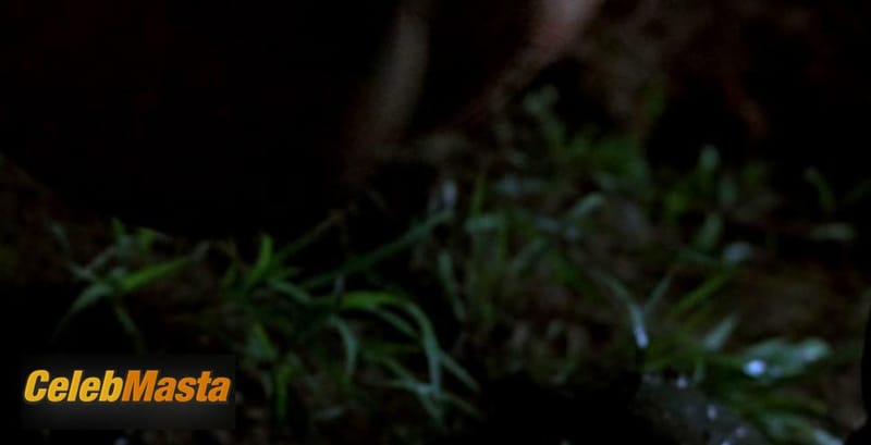 Martha Plimpton Photos from Eye Of God photo 4
