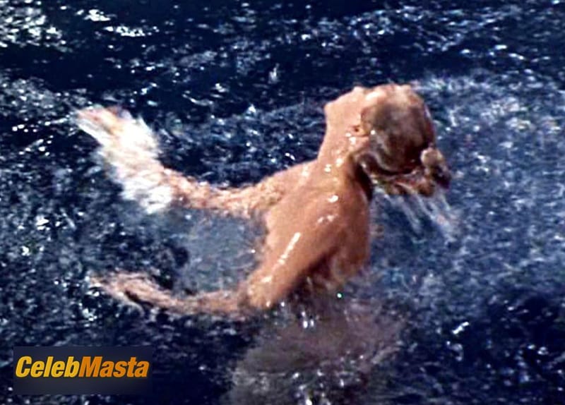 Anne Francis in Forbidden Planet