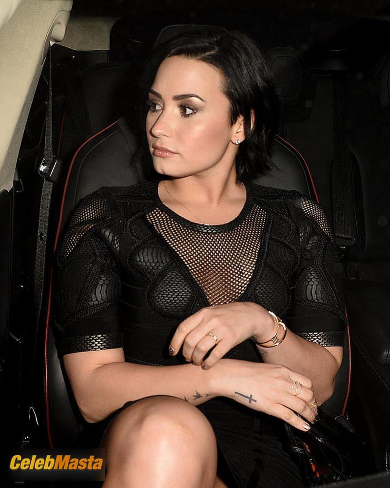 Demi Lovato Pics: Pussy Exposed While In Car photo 3