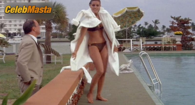Raquel Welch Photo Set from Lady In Cement photo 2