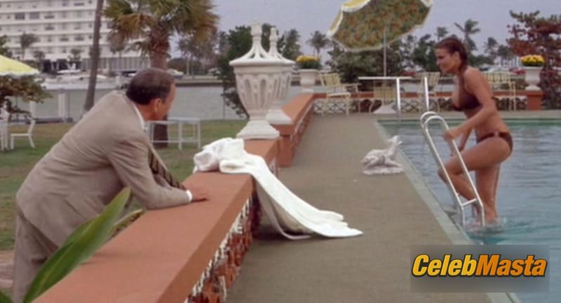 Raquel Welch Photo Set from Lady In Cement photo 3