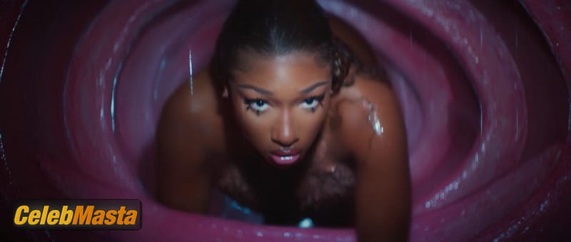Photo Gallery: Megan Thee Stallion in Cobra photo 3