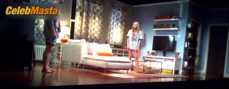 Amanda Seyfried Photos from The Way We Get By photo 1