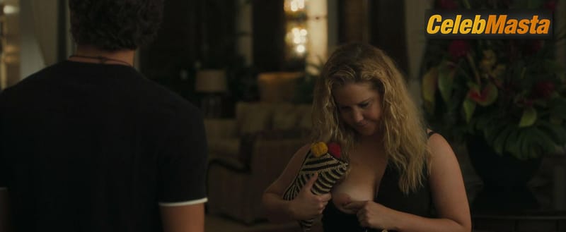 Amy Schumer Photo Set from Snatched photo 4