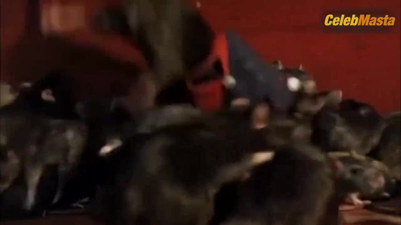 Adrienne Barbeau's Tits Scene from Burial of the Rats