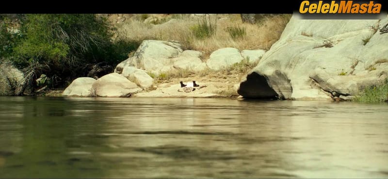 Lera Abova's Tits, Bush Scene in Honey Don't!