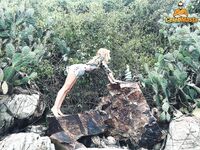 Photo 25