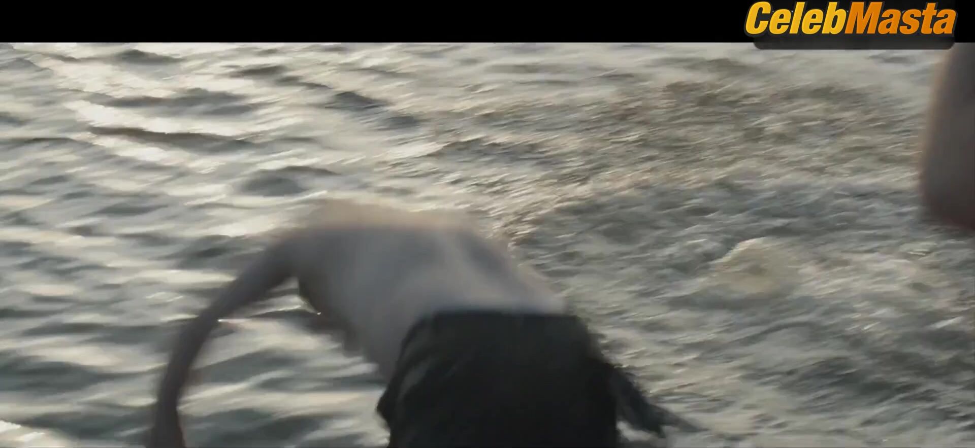 Dakota Johnson ’s Underwear Scene From The Peanut - Photo 1 of 5 photo 4