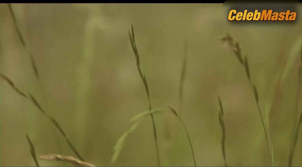 Tilda Swinton Boobs, Bush Scene In I Am Love - Photo 2 of 5 photo 1