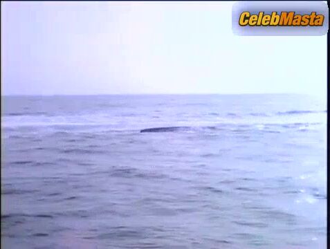Pamela Anderson ’s Bikini Scene From Baywatch - Photo 2 of 5 photo 1