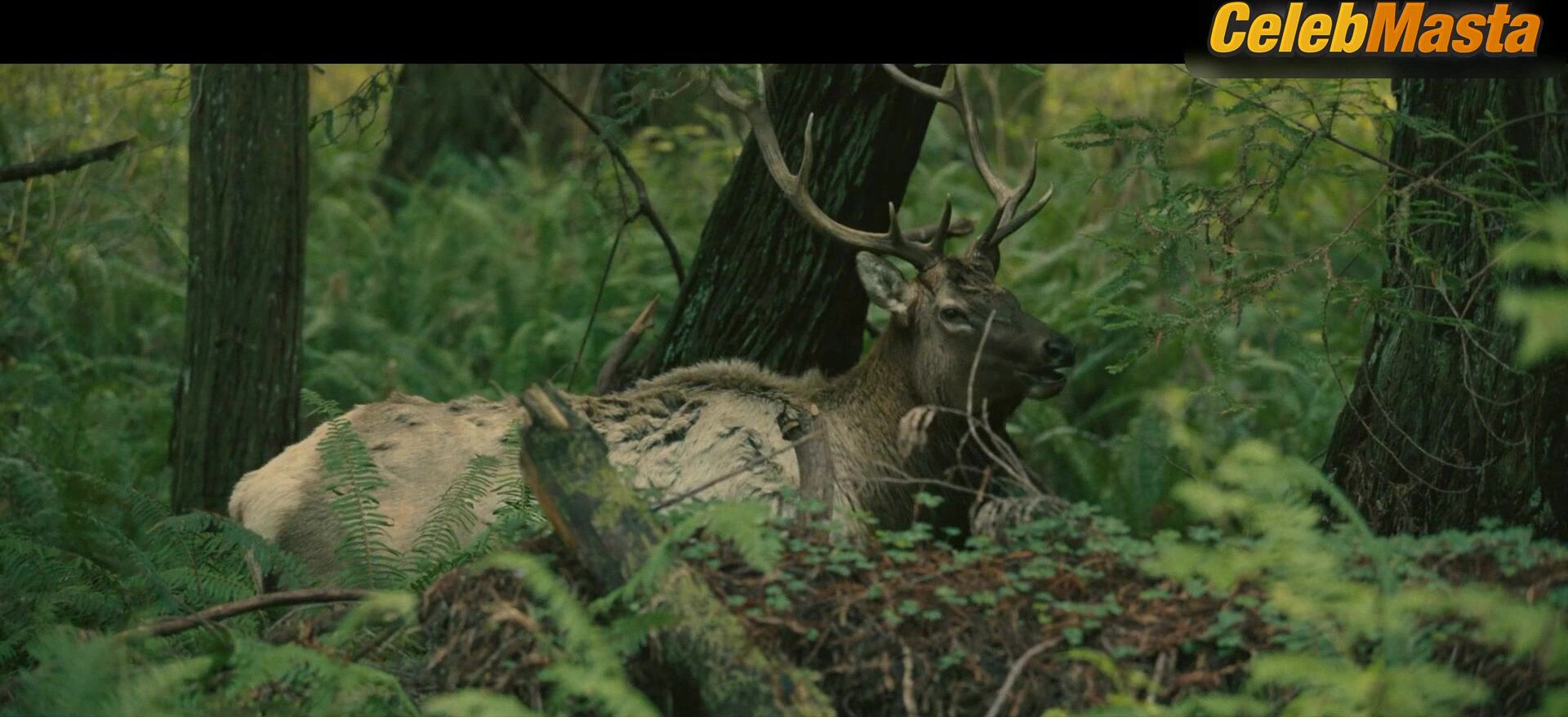 Riley Keough ’s Sexy Scene In Sasquatch Sunset - Photo 1 of 5 photo 2