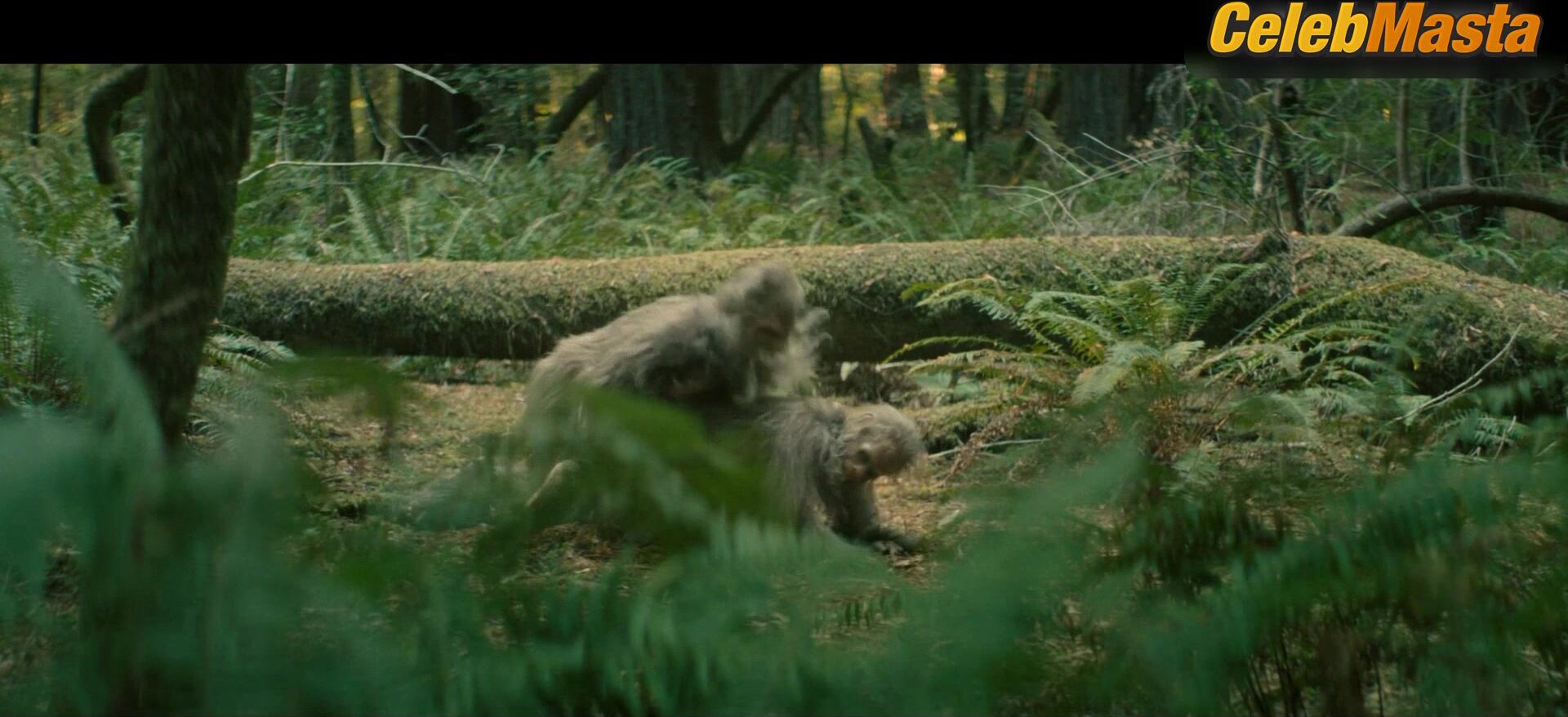 Riley Keough ’s Sexy Scene In Sasquatch Sunset - Photo 1 of 5 photo 4