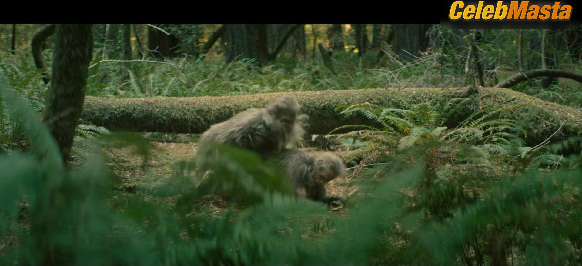 Riley Keough ’s Sexy Scene In Sasquatch Sunset - Photo 1 of 5 photo 5