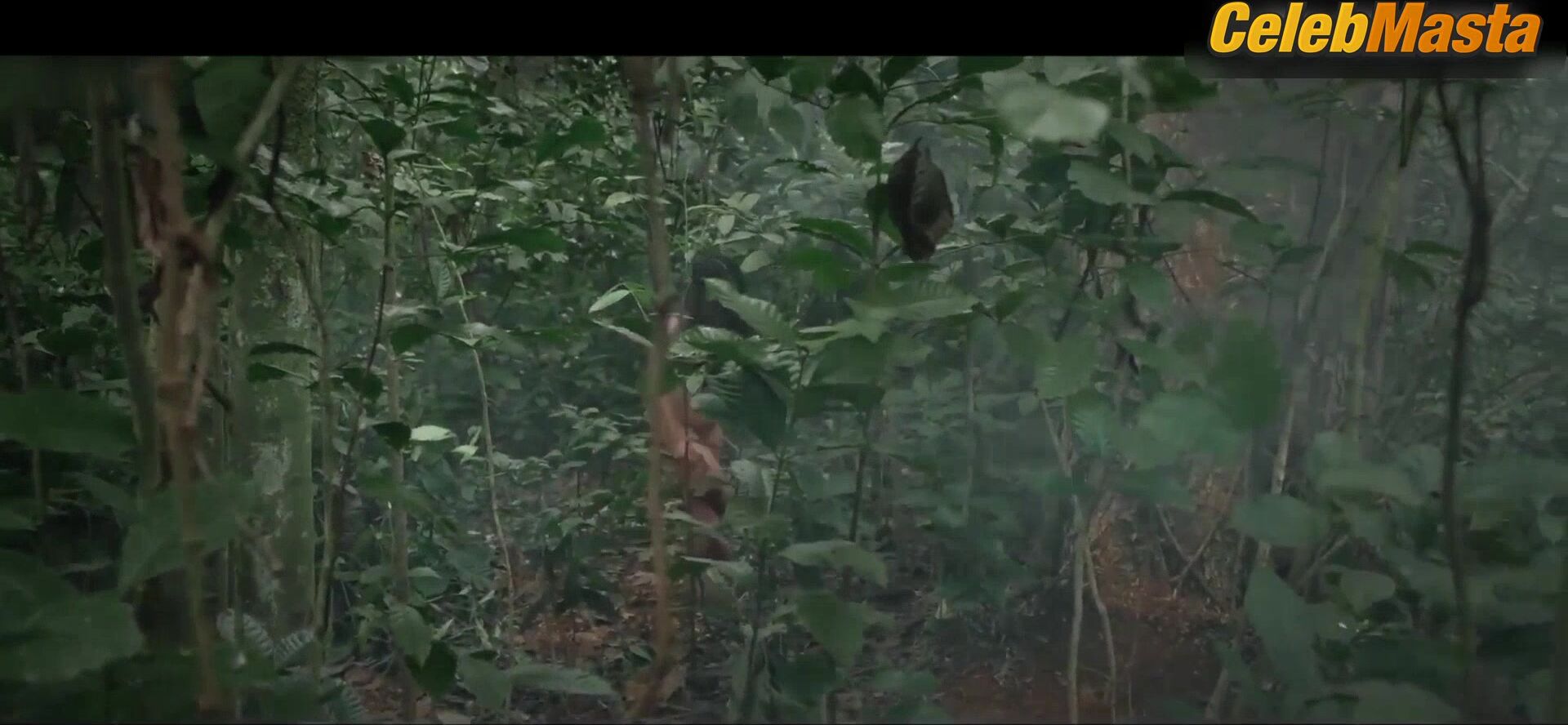 Rob Guinto Boobs, Bush Scene In Virgin Forest - Photo 1 of 5